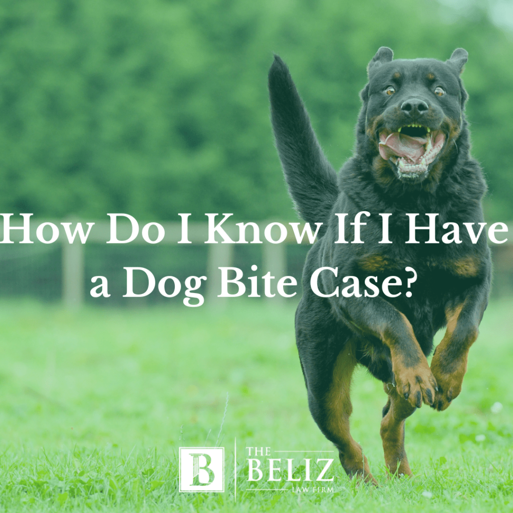 how do I know if I have a dog bite case